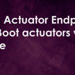 Custom Actuator Endpoint – Spring Boot actuators with Example